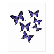 Butterfly Butterflies Postcards