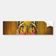 Butterfly - Butterfly of happiness Bumper Sticker