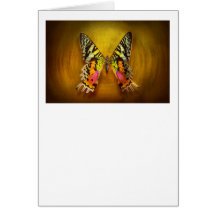 Butterfly - Butterfly of happiness Cards