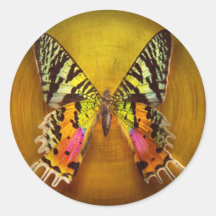 Butterfly - Butterfly of happiness Round Stickers