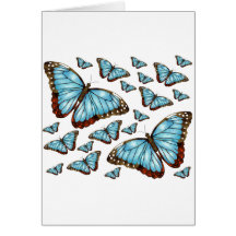 Butterfly Delight Cards