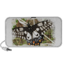 Butterfly Doodle Speakers