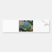 Butterfly Fish Bumper Sticker