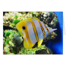 Butterfly fish greeting cards