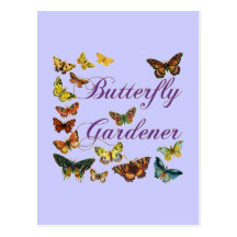 Butterfly Gardener Saying Postcard