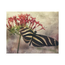 Butterfly Impresiones De Lienzo