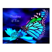 Butterfly in Blue Light - Thinking of You Postcard