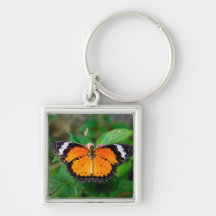 Butterfly Key Chain