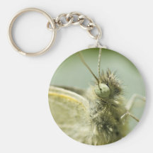 Butterfly key chain