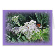 Butterfly-Lavendar edge Cards
