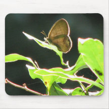 Butterfly Light Mousepad