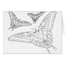 Butterfly Line Drawing Greeting Card