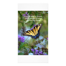 Butterfly love post card custom photo card