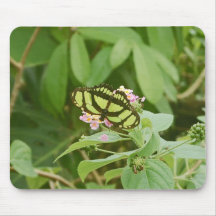 Butterfly Mouse Pad