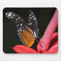 Butterfly Mousepad
