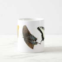 butterfly mug mugs
