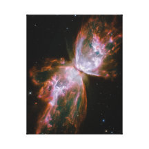Butterfly Nebula Canvas Print