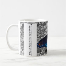 Butterfly on Concrete Mug