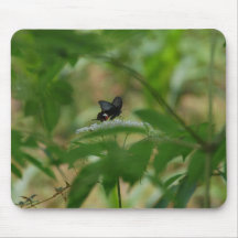 Butterfly on flower mouse pads