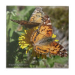 Butterfly Pair tiles