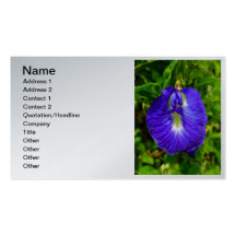 Butterfly Pea Business Card