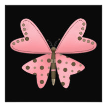 Butterfly Photo