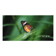 Butterfly photo card