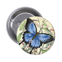 Butterfly Pinback Button