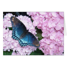Butterfly & Pink Hydrangea Flowers Card