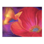 Butterfly Pink Poppy Art - Multi Post Cards