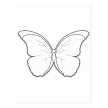 Butterfly Postcard