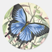 Butterfly Stickers
