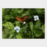Butterfly With Forget-Me-Nots cards