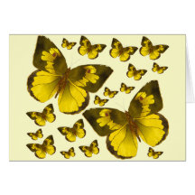 Butterfly Wonder Greeting Card