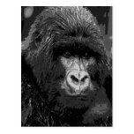 BW Gorilla Face Postcard