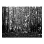 BW Trees Custom Invite
