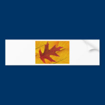 BZH22-0310-0089 bumper stickers