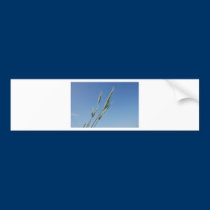 BZH22-0610-1 bumper stickers