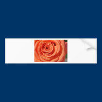 BZH22-0610-45 bumper stickers