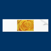 BZH22-0610-46 bumper stickers