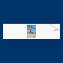 BZH22-0710-125 bumper stickers