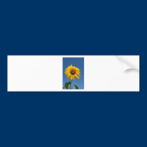 BZH22-0810-32 bumper stickers
