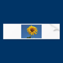 BZH22-0810-35 bumper stickers