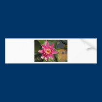 BZH22-0810-87 bumper stickers
