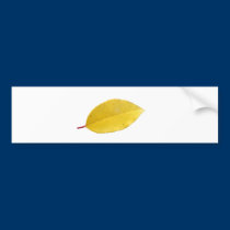 BZH22-1010-12 bumper stickers