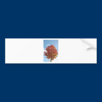 BZH22-1010-141 bumper stickers