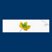 BZH22-1010-39 bumper stickers