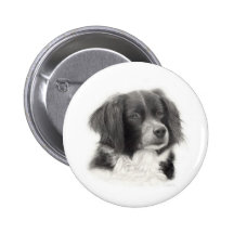 Cachorro - diversos pinback buttons