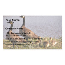 Cackling Canada goose brood Business Card