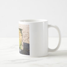CACTUS 007_3, CACTUS 008_3, CACTUS 010_3, CACTU... COFFEE MUGS